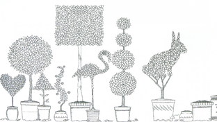 Наши топиарные фигуры