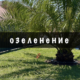 Газон и озеленение участка