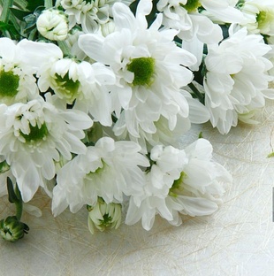 Восстановление 