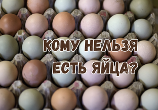 БЕЗ ЯИЦ