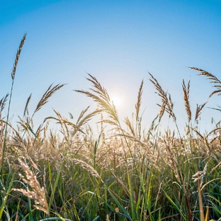 Просто напоминание