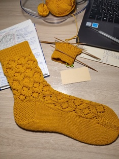 СП,,Носочки с Таней 2025".