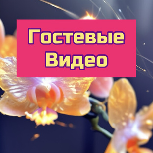 Гостевые видео