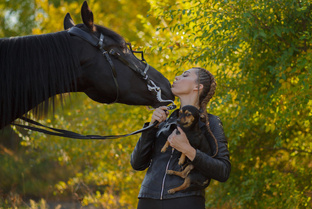 А здесь мы все разговариваем)