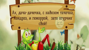 СНТ НЕУРОЖАЙКА