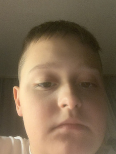 Скибиди вари 