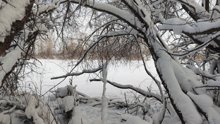 Рыбалка 2026 год