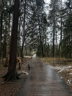 Красоты природы