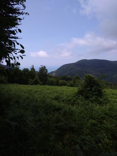 Из Самары в Сочи на машине