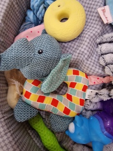 Плохие игрушки для собаки