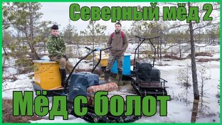 Северный мёд