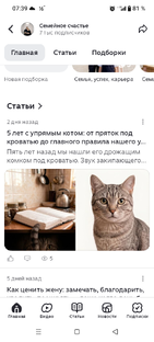 Семья и кошки
