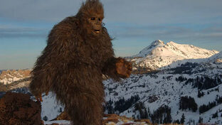 BIGFOOT MYTHE OU REALITE