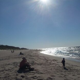 Татьяна Лютикова