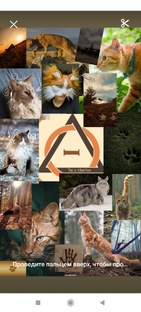 Школа квд/тереанов