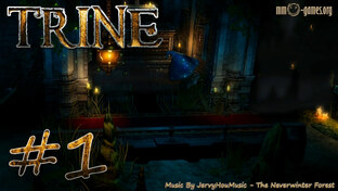 Trine - Кооператив - Прохождение игры на русском | PC