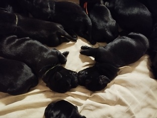 Как мы росли и развивались