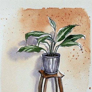 Интересное о привычном