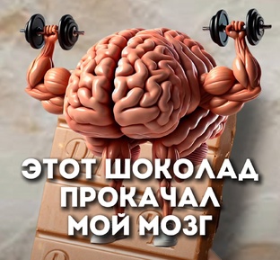Шоколад с экстрактом гриба ежовика