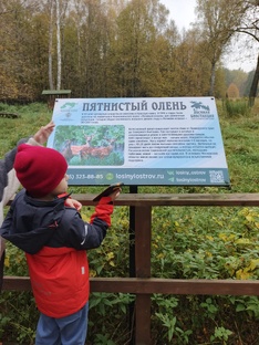 Осознанное чтение/техника чтения 