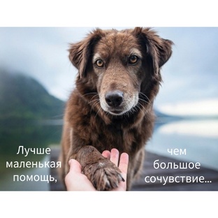 Как оказать помощь