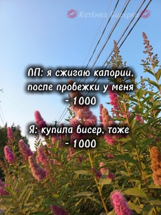 Бисерные Рилсы