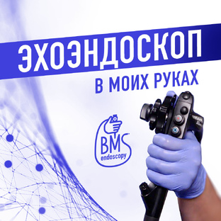 ЭУС. Авторский взгляд BMSendoscopy