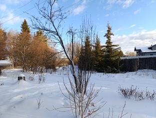 День за днём - 2025