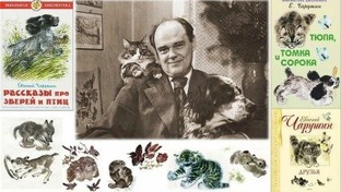  «Не тигром единым: как оживить зверей Чарушина для ребенка 6 лет»