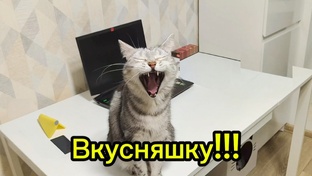 Выкрутасы Бони