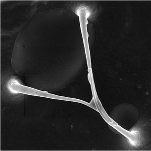 Лаборатория Тонких Энергий