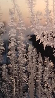 Чудеса зимы морозной.