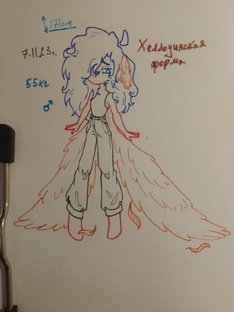 13 карт 