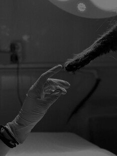 Те самые записки после смены