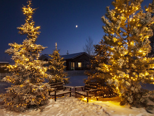 Условия покупки