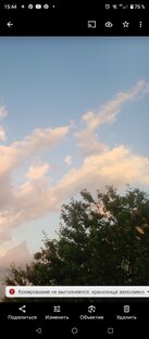 Интересное на даче (насекомые и другая фауна огорода, конструкции)