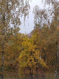 Осенние пейзажи