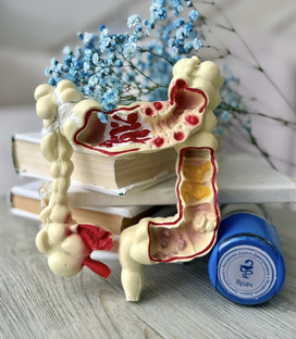 Pro_кишечник