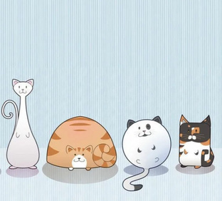 Путешествие с питомцем