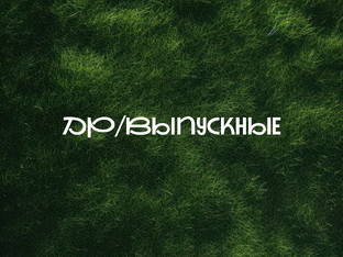 Дни рождения/Выпускные