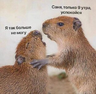 Ищу работу - декабрь 2023