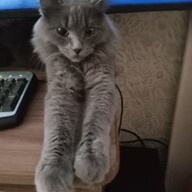 Разное.