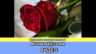 Моим друзьям