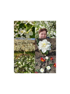 Век живи, век учись