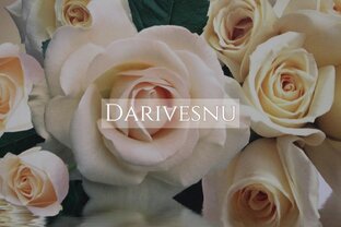 Знаки зодиака