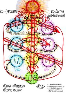 Свято- Софийский Дом Единого (Русского) Естествоведения