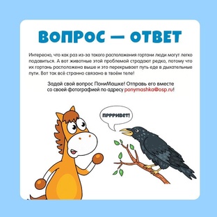 Вопрос-ответ