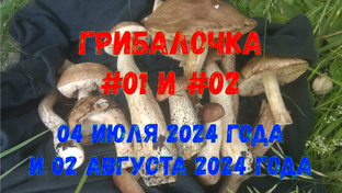Грибалочка