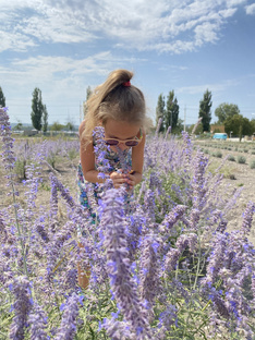 Интересные места. Экскурсии 