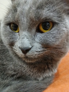 А ты подписался?